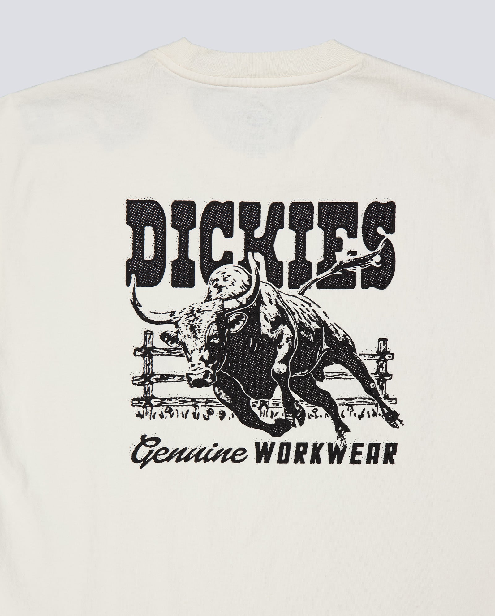 Camiseta Dickies Buchtell Gris Hombre DK0A883BC481