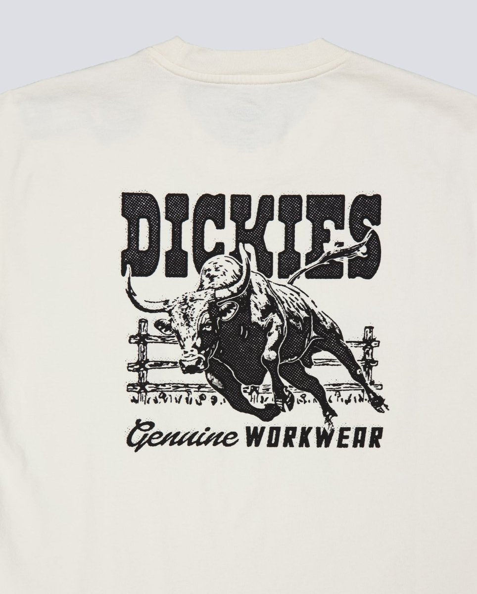 Camiseta Dickies Buchtell Gris Hombre DK0A883BC481