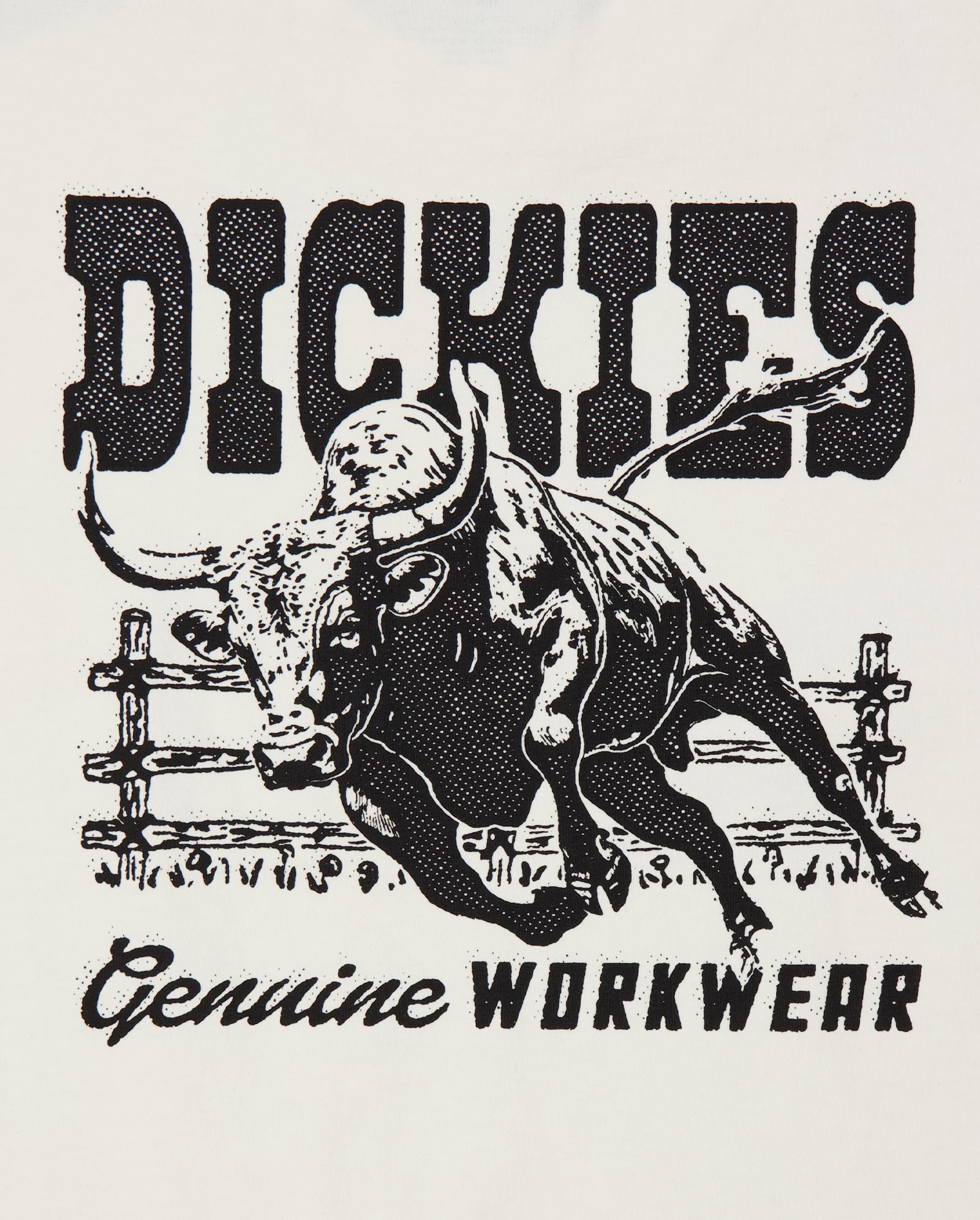 Camiseta Dickies Buchtell Gris Hombre DK0A883BC481