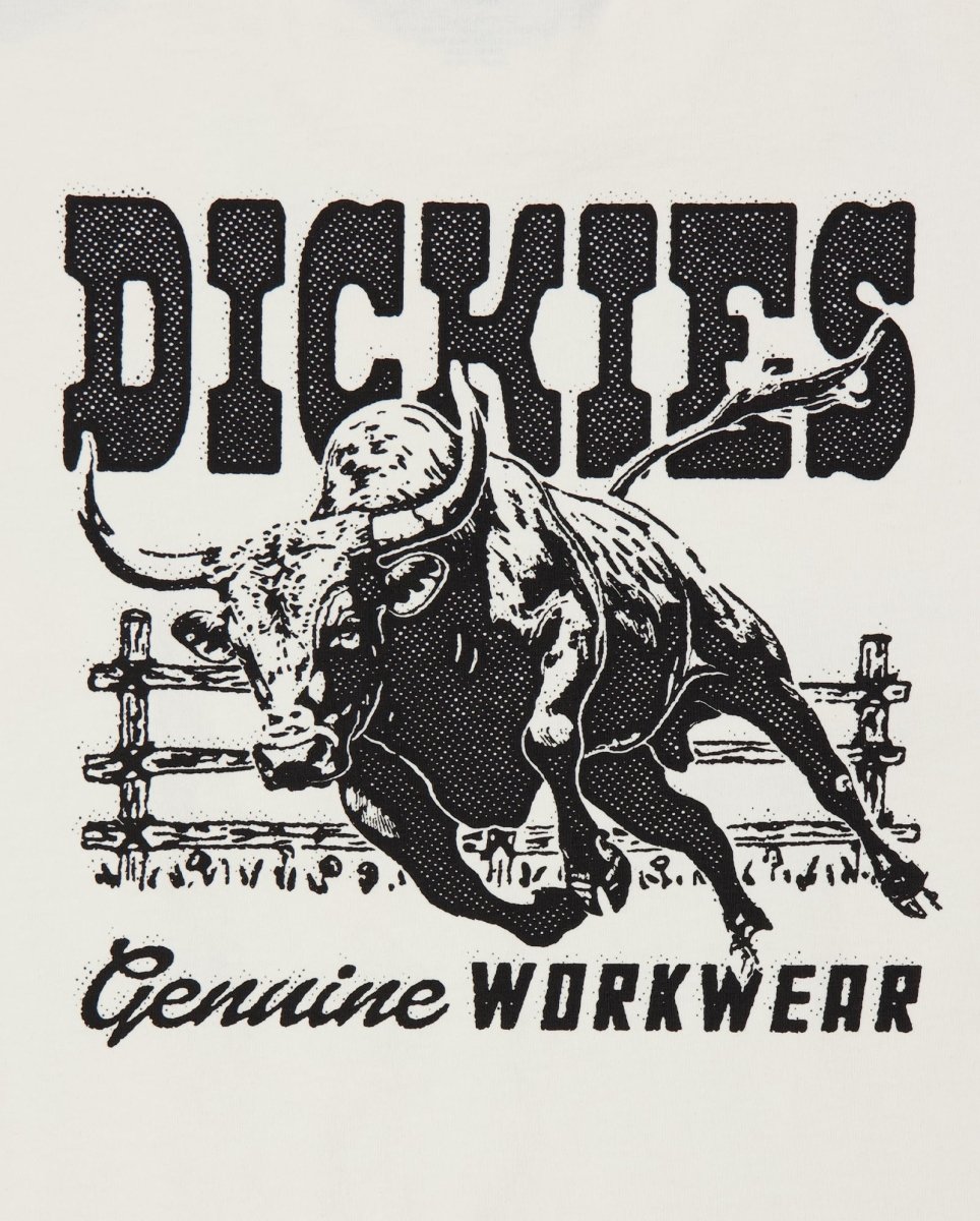 Camiseta Dickies Buchtell Gris Hombre DK0A883BC481
