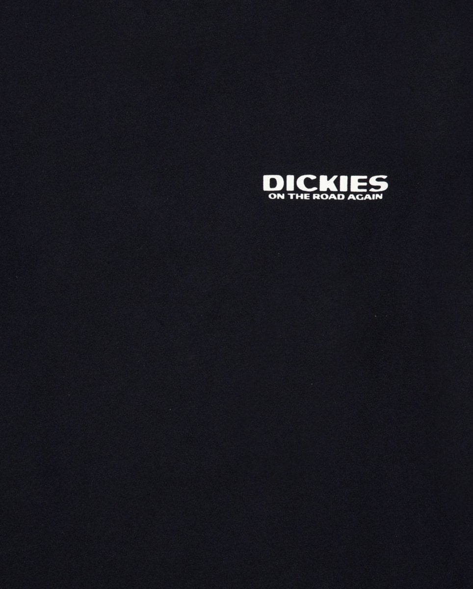 Camiseta Dickies Burns Negra Hombre DK0A87QIBLK1