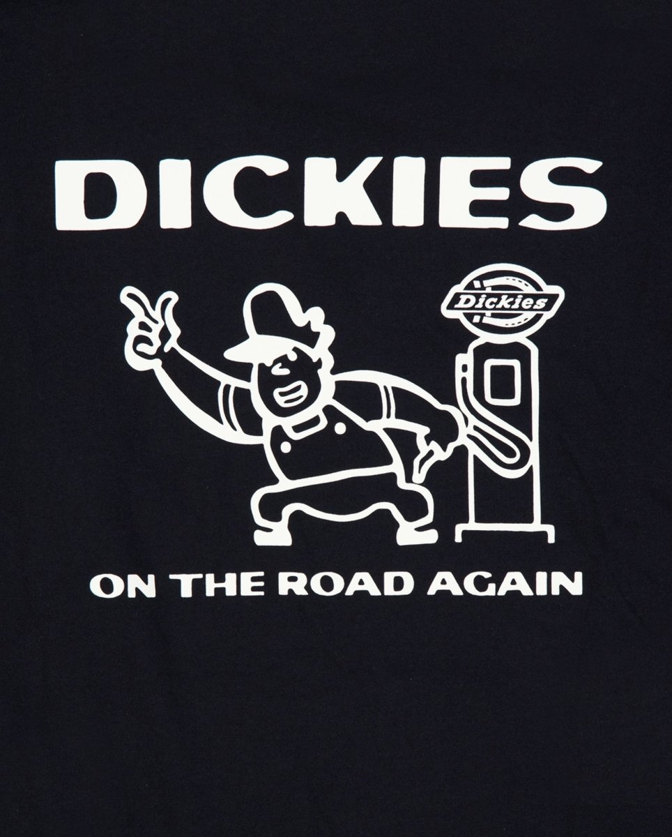 Camiseta Dickies Burns Negra Hombre DK0A87QIBLK1