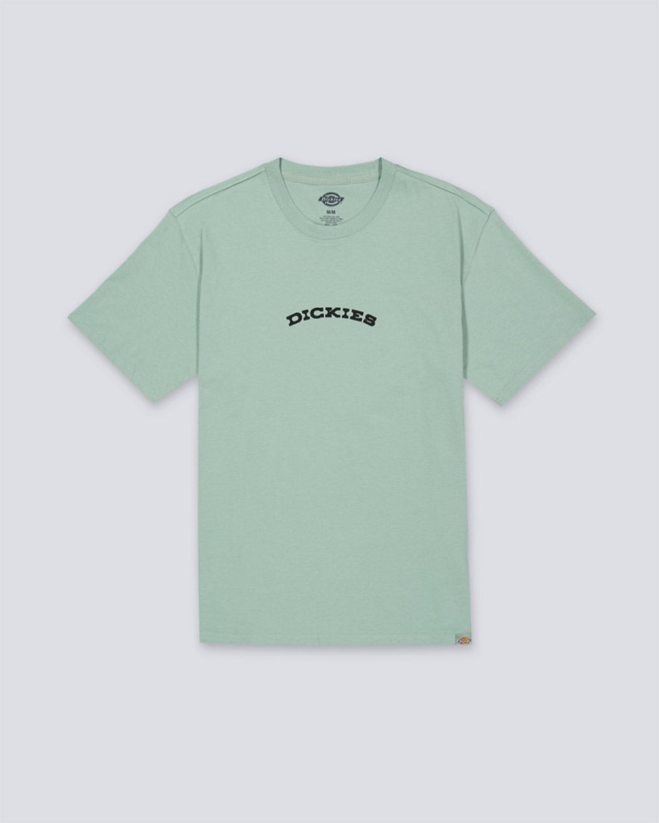 Camiseta Dickies Outdoor Verde Hombre DK0A4Z8PK361