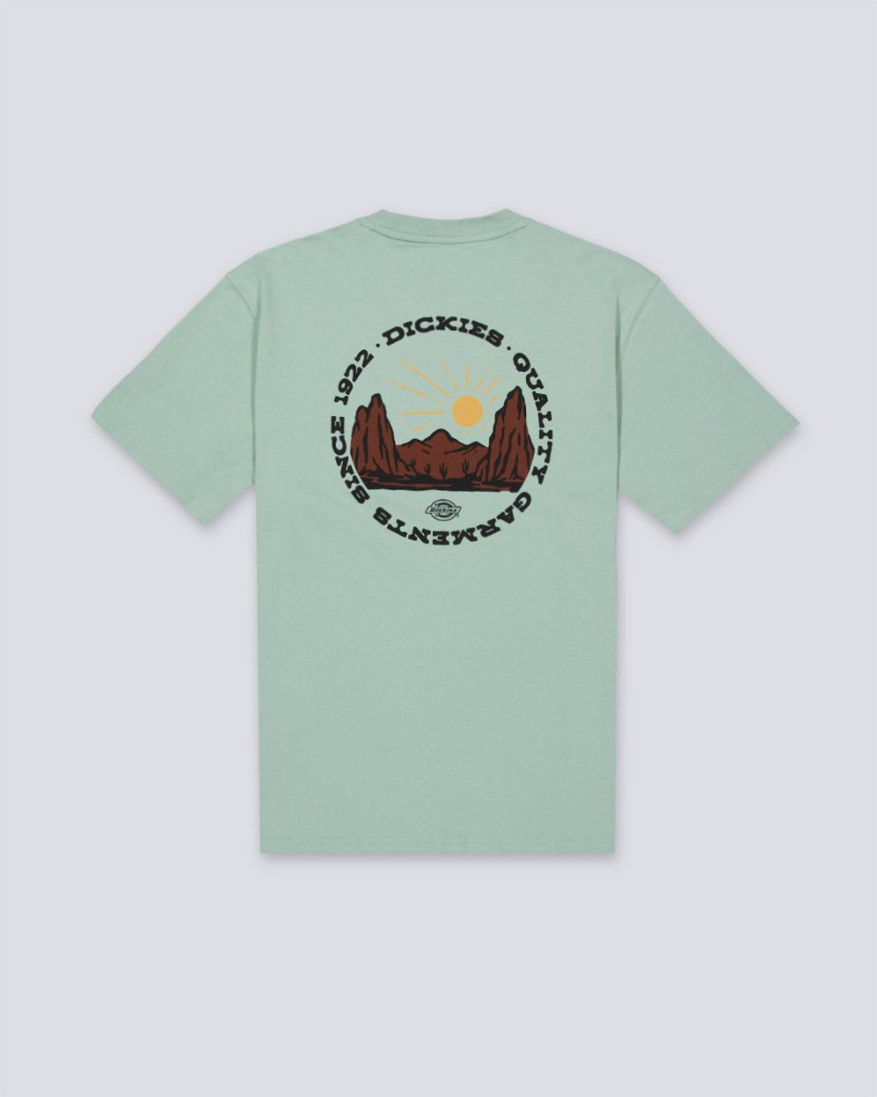 Camiseta Dickies Outdoor Verde Hombre DK0A4Z8PK361