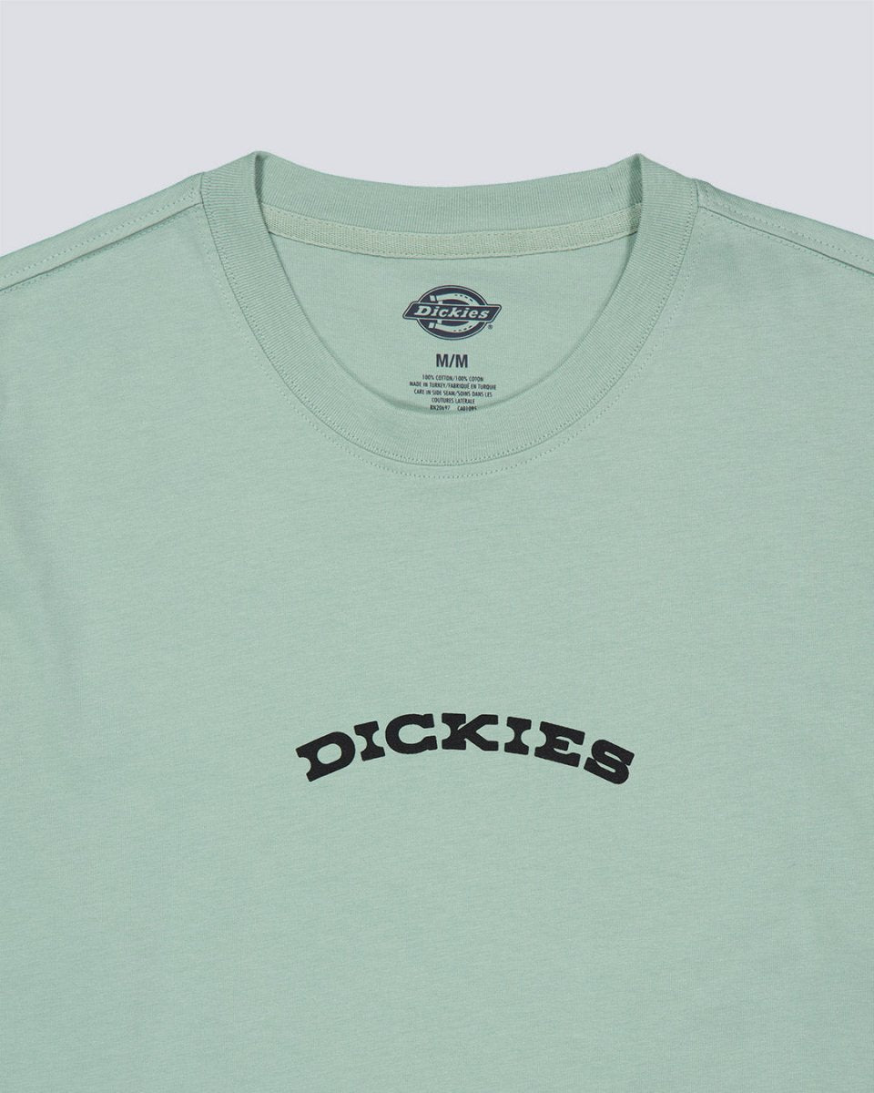 Camiseta Dickies Outdoor Verde Hombre DK0A4Z8PK361
