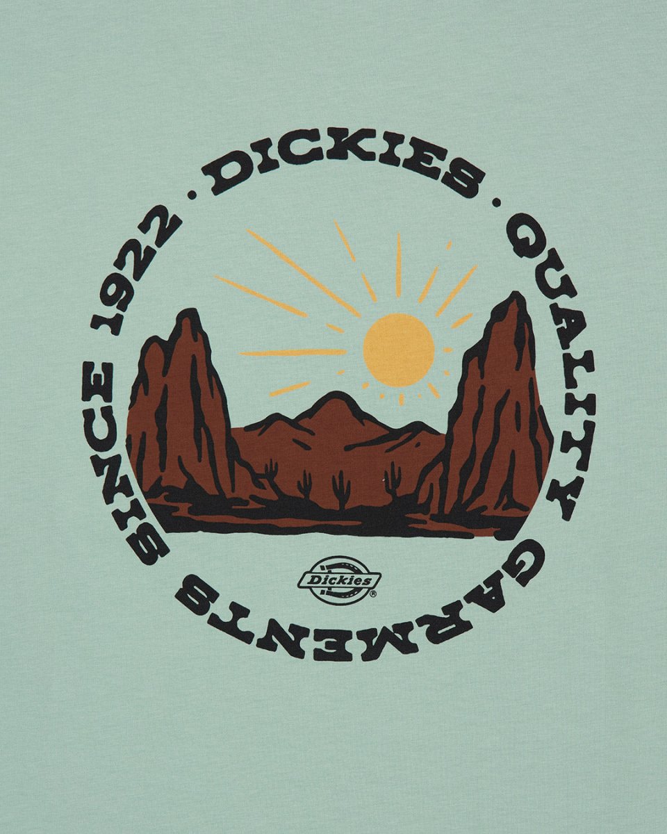 Camiseta Dickies Outdoor Verde Hombre DK0A4Z8PK361