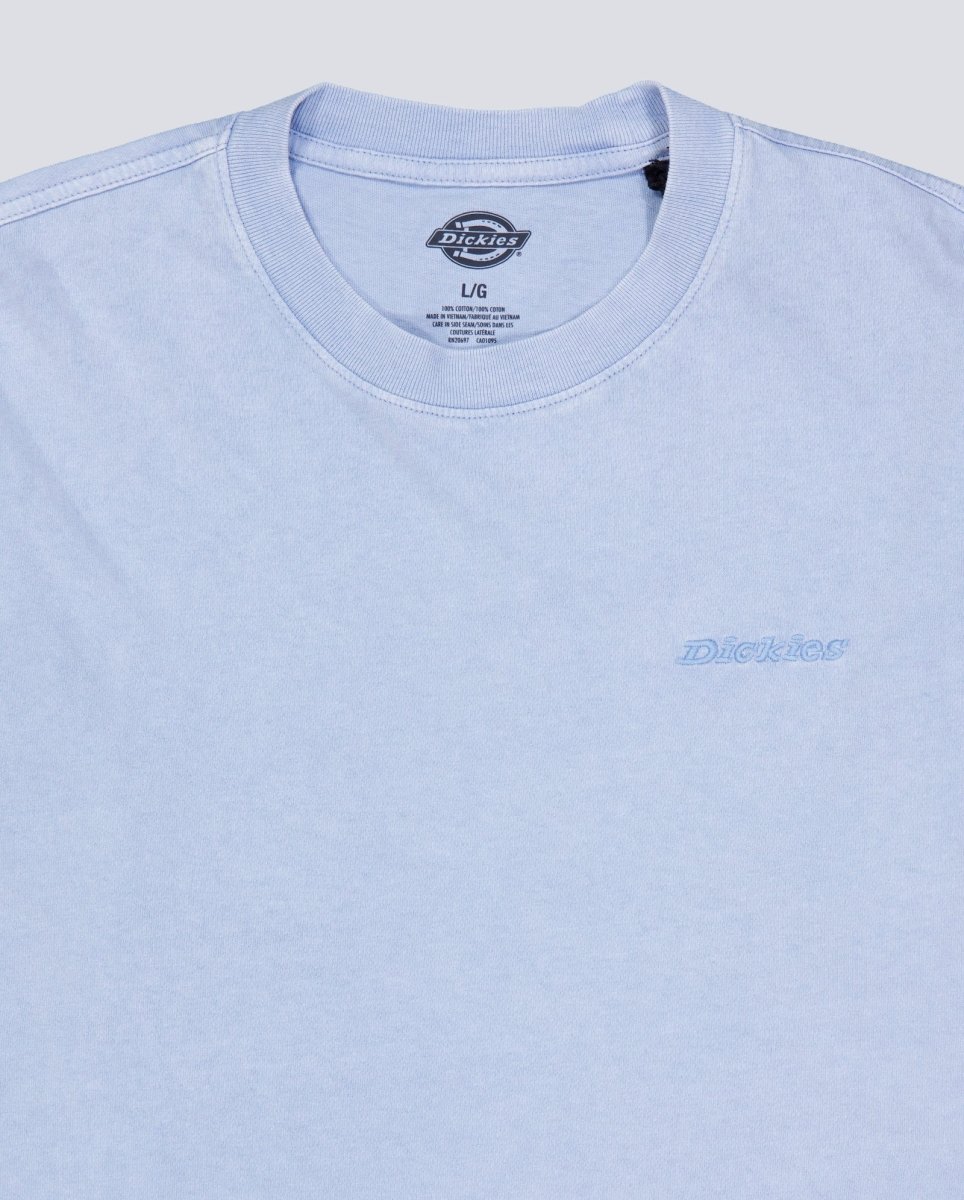 Camiseta Dickies Plentywood Azul Hombre DK0A866BL391