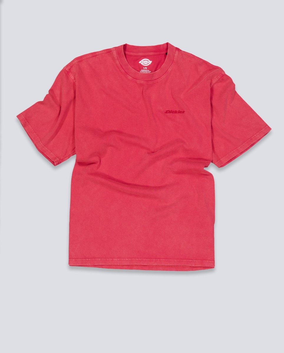 Camiseta Dickies Plentywood Burdeos Hombre DK0A866BL331