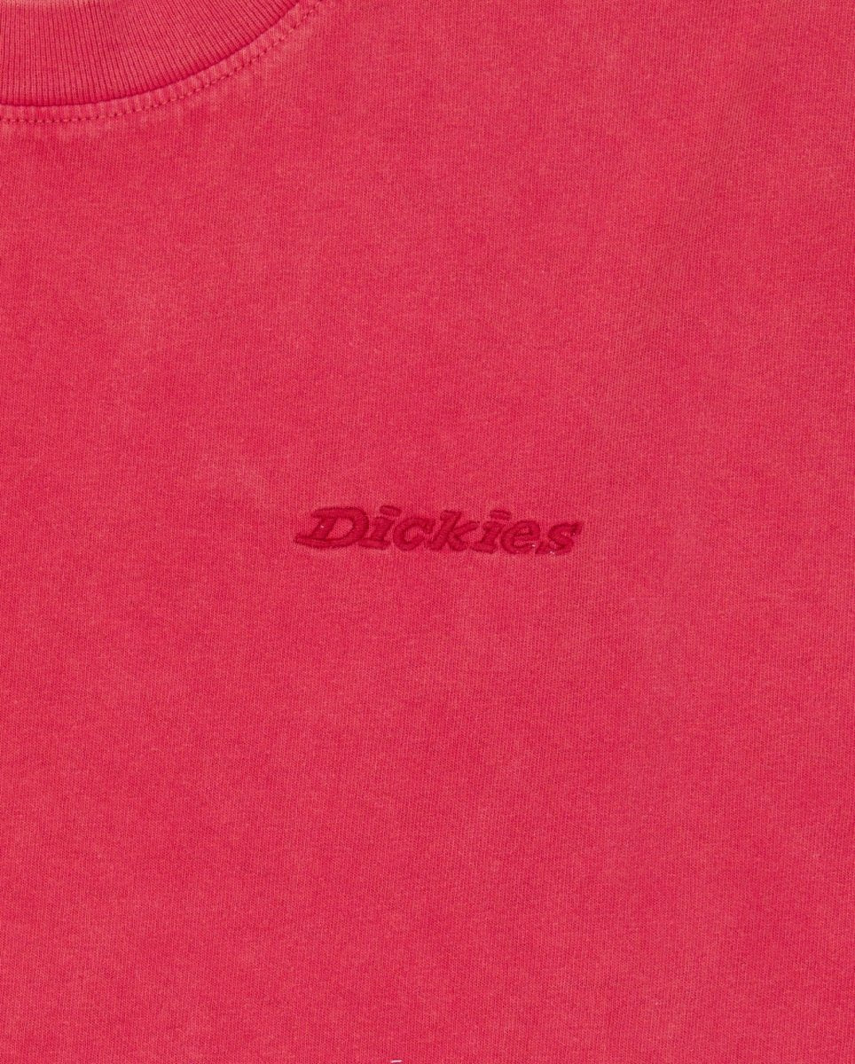 Camiseta Dickies Plentywood Burdeos Hombre DK0A866BL331