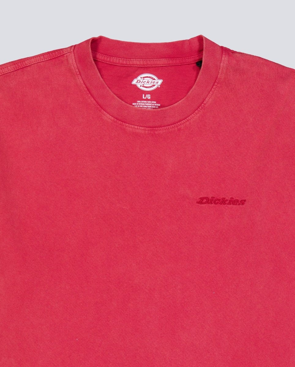 Camiseta Dickies Plentywood Burdeos Hombre DK0A866BL331