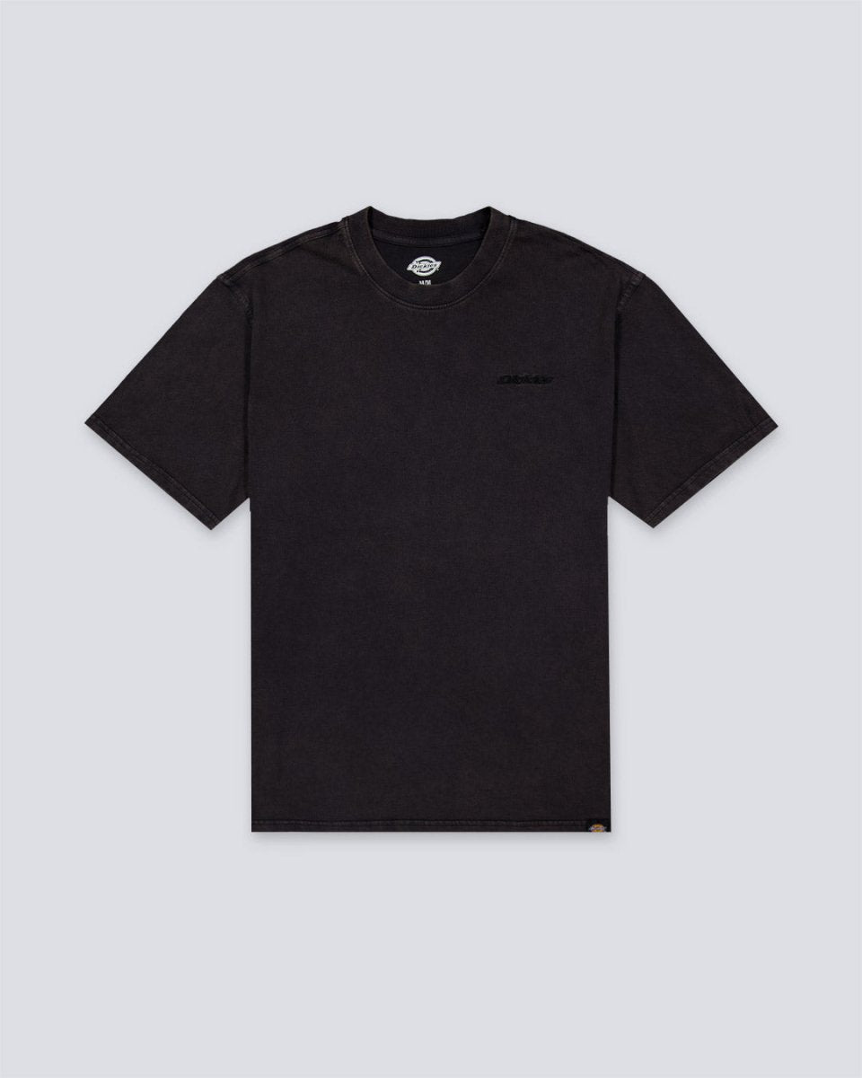 Camiseta Dickies Plentywood Negro Hombre DK0A866BH861