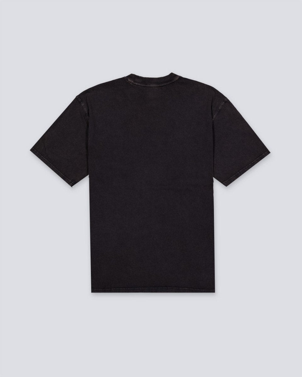Camiseta Dickies Plentywood Negro Hombre DK0A866BH861