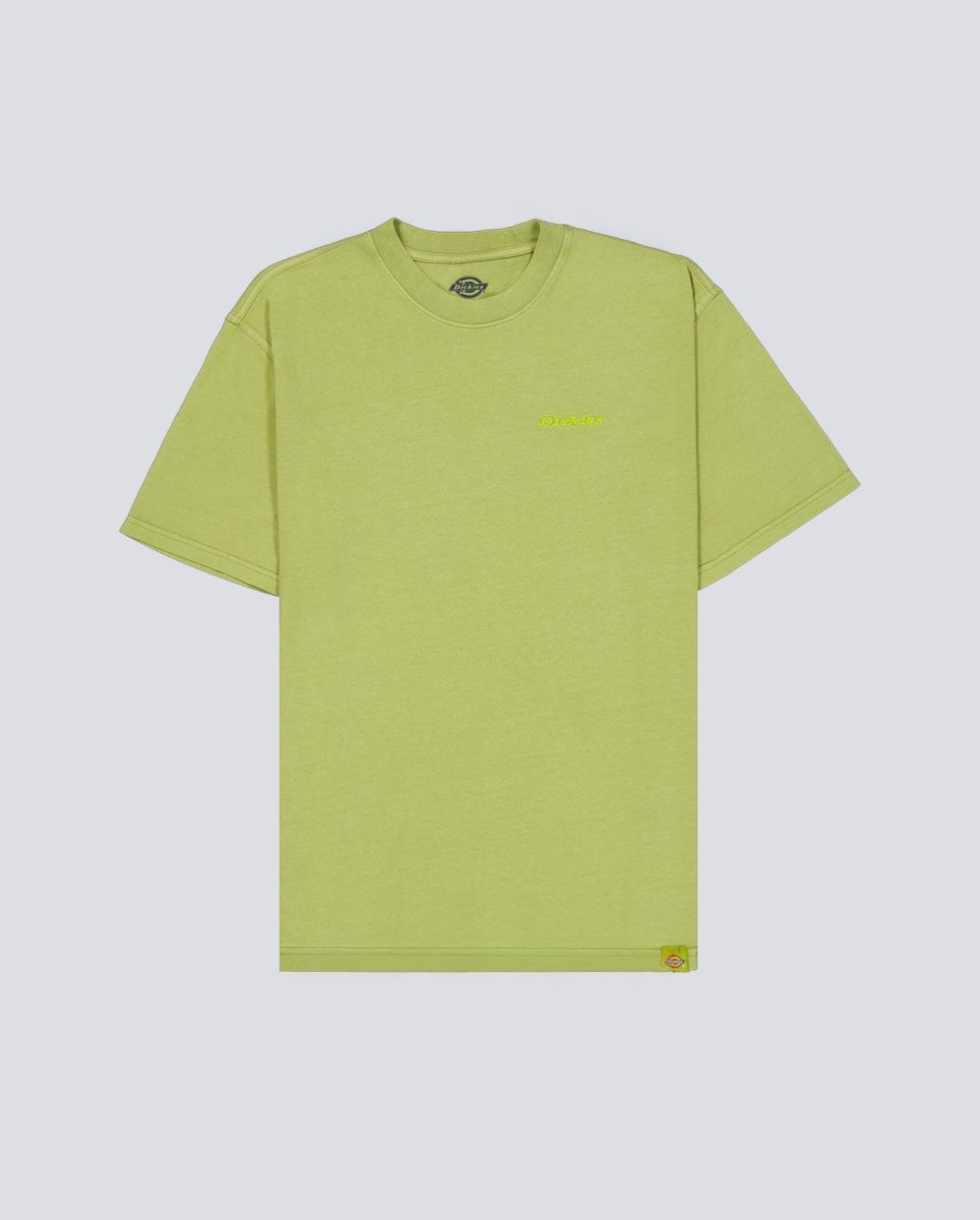Camiseta Dickies Plentywood Verde Hombre DK0A866BL201