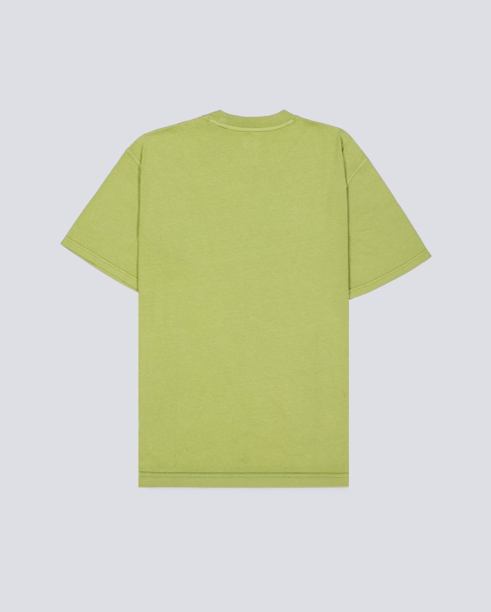 Camiseta Dickies Plentywood Verde Hombre DK0A866BL201