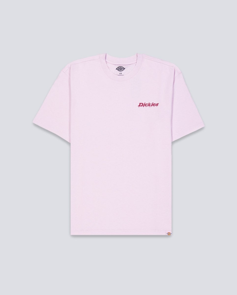 Camiseta Dickies Statesville Lila Hombre DK0A87QPK731
