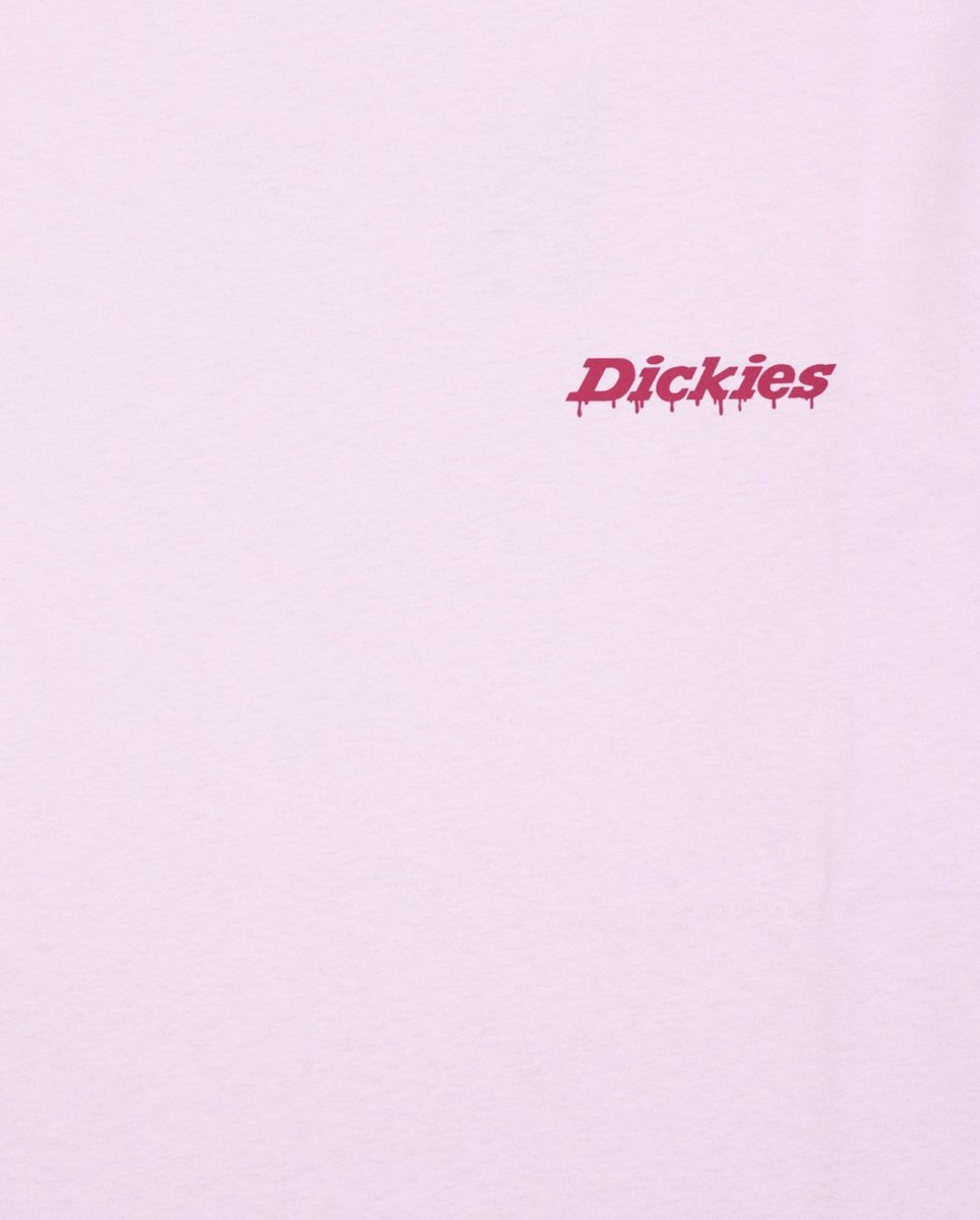 Camiseta Dickies Statesville Lila Hombre DK0A87QPK731