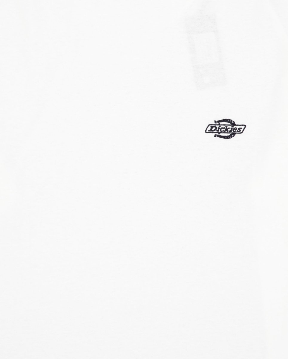 Camiseta Dickies Summerdale Blanco Hombre DK0A4YAIWHX1