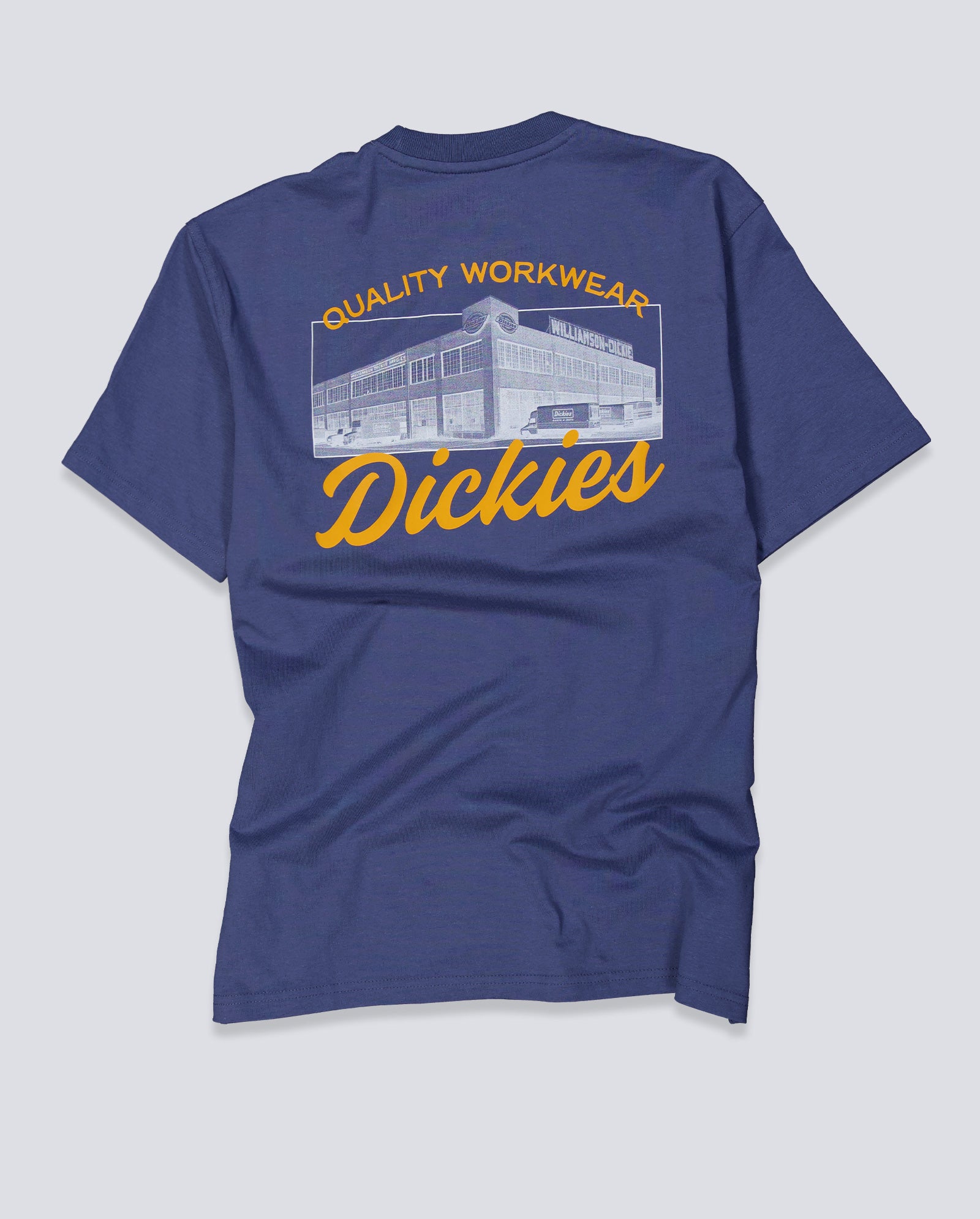 Camiseta Dickies Wellsville Azul Hombre DK0A8886RI21
