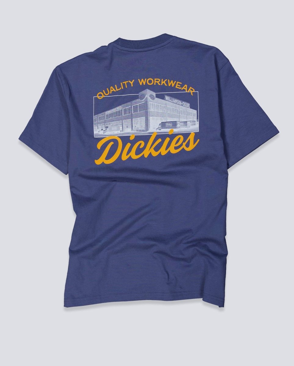 Camiseta Dickies Wellsville Azul Hombre DK0A8886RI21