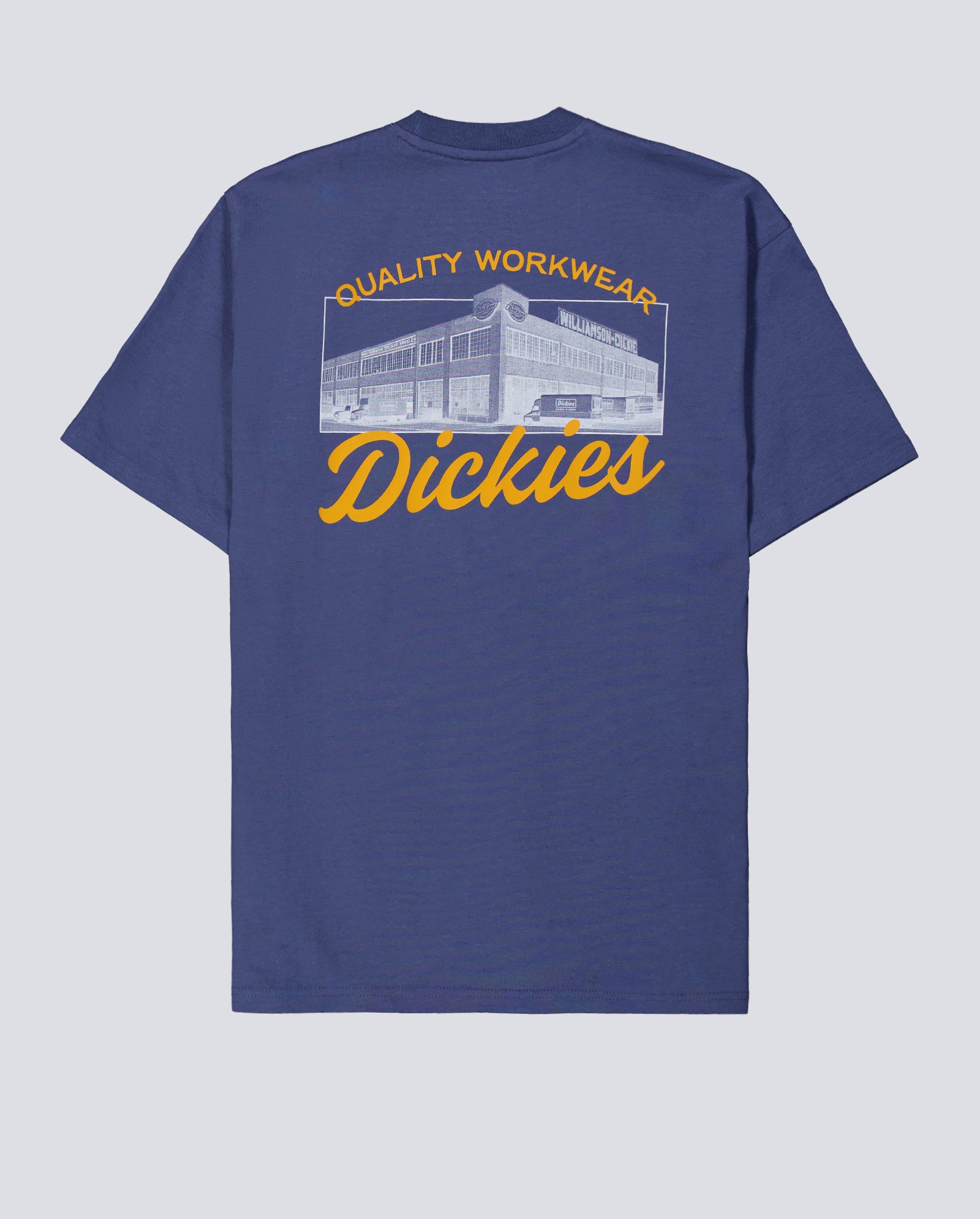 Camiseta Dickies Wellsville Azul Hombre DK0A8886RI21
