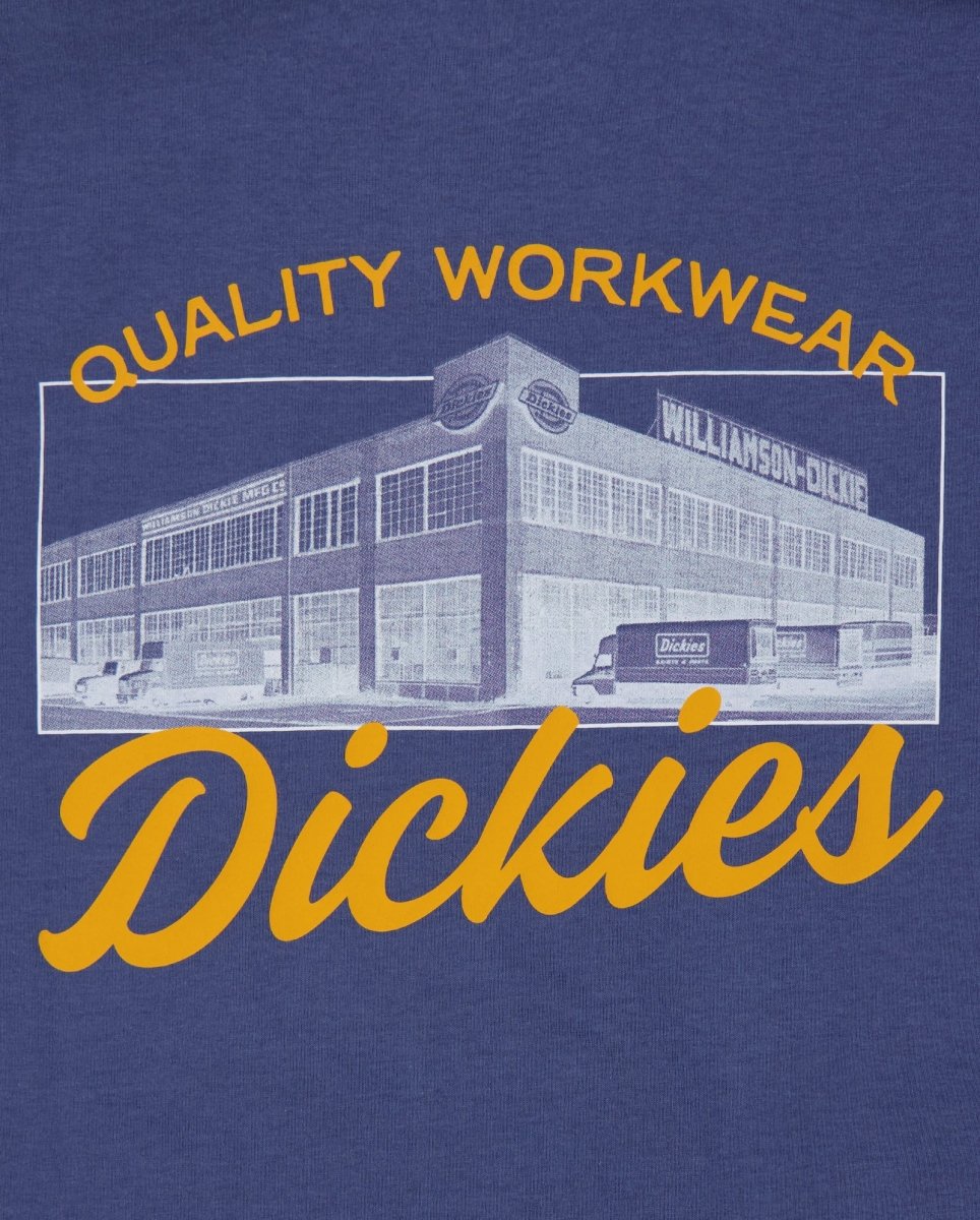 Camiseta Dickies Wellsville Azul Hombre DK0A8886RI21