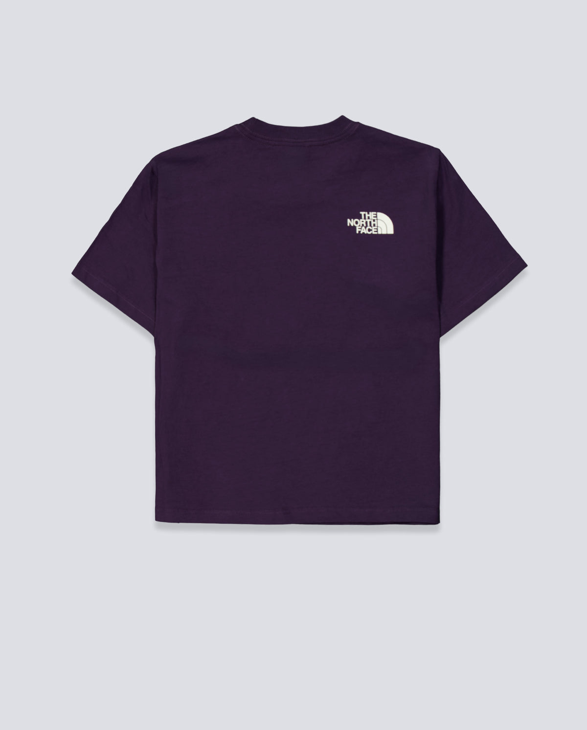 Camiseta The North Face Flora Embro Regular Morado Mujer NF0A8G9QG5O1