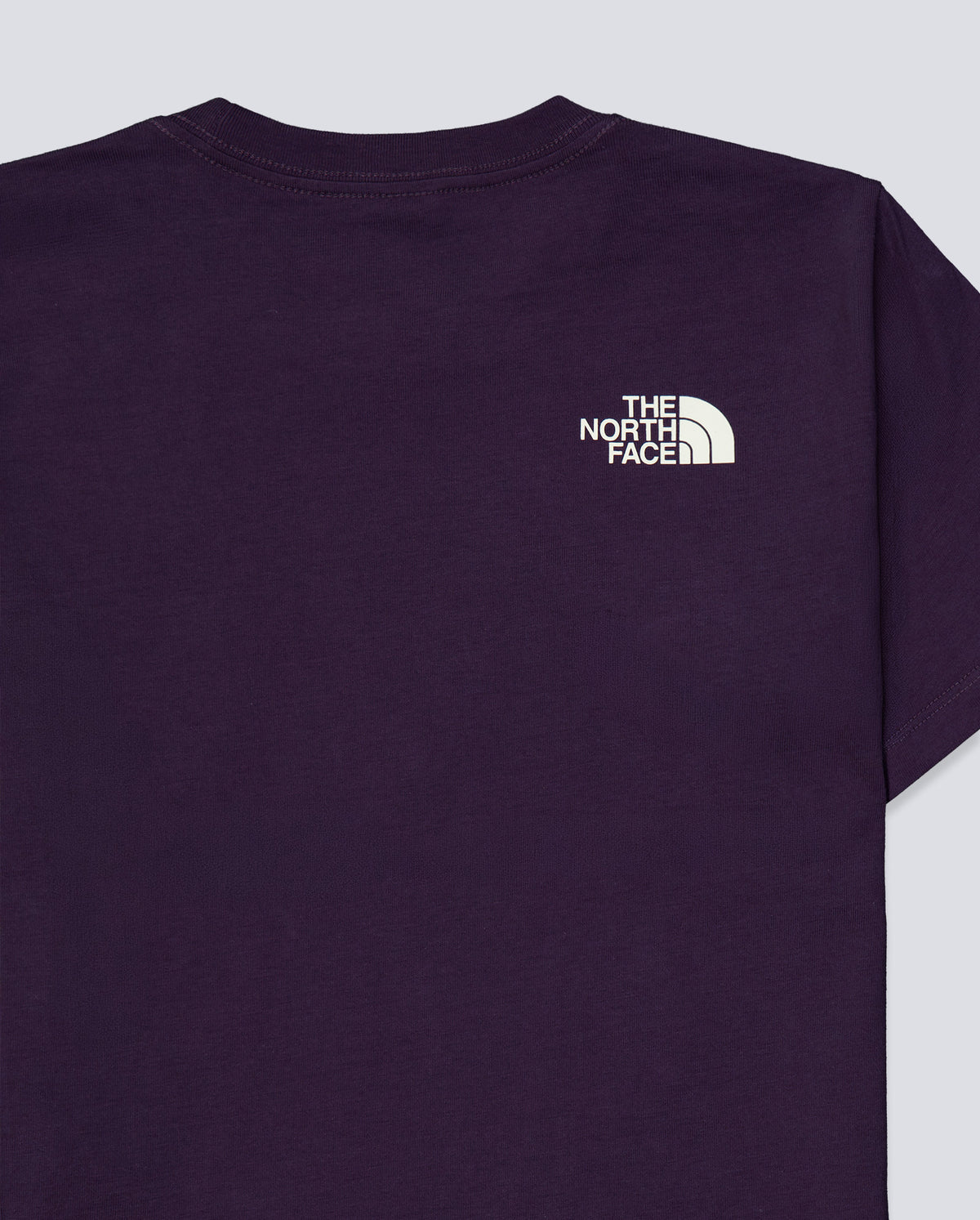 Camiseta The North Face Flora Embro Regular Morado Mujer NF0A8G9QG5O1