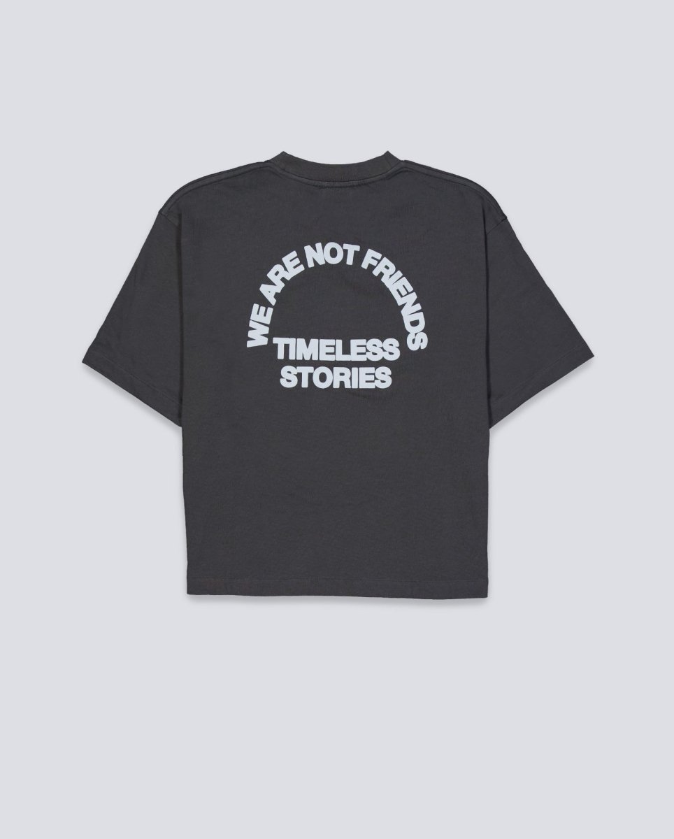 Camiseta We Are Not Friends Stories Boxy Gris Unisex