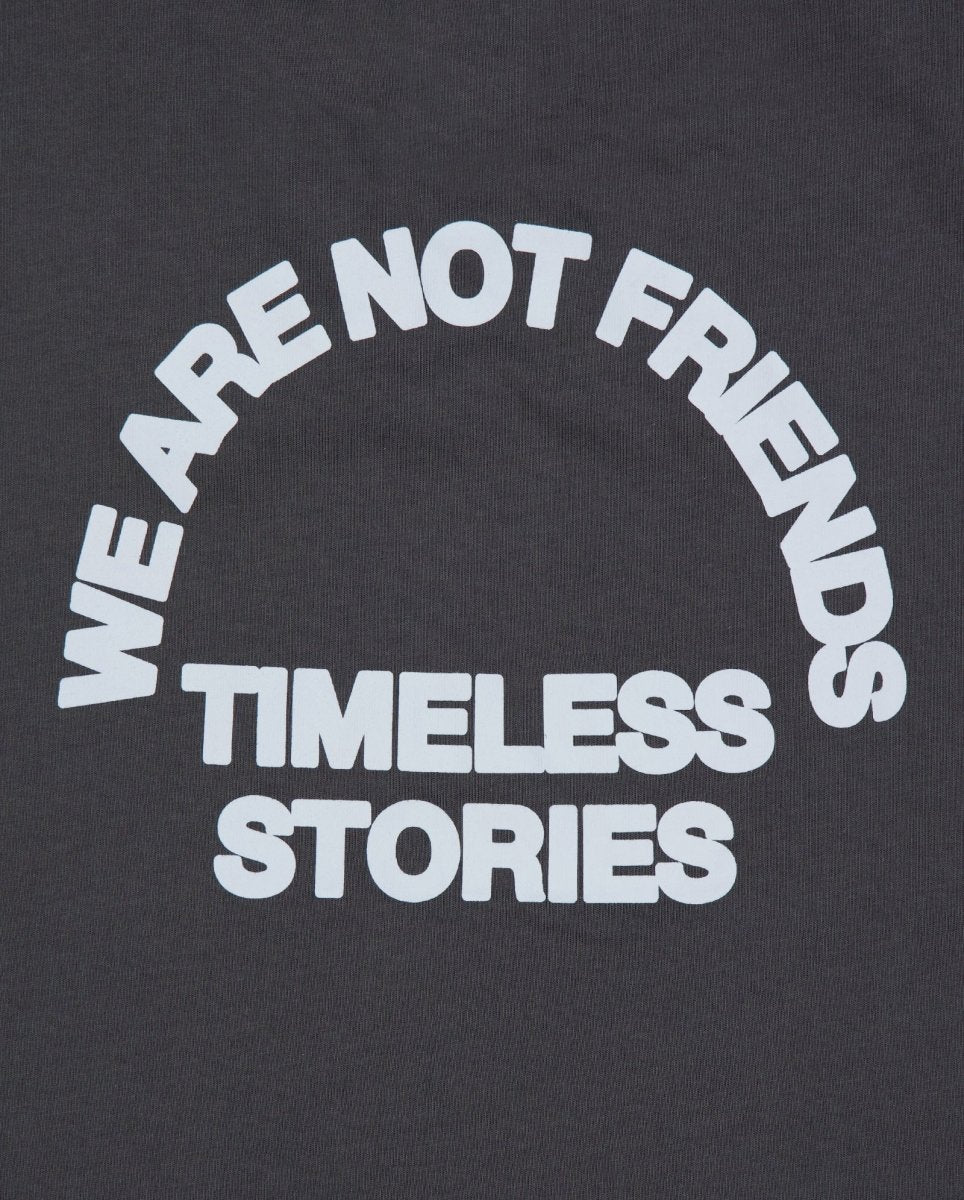 Camiseta We Are Not Friends Stories Boxy Gris Unisex