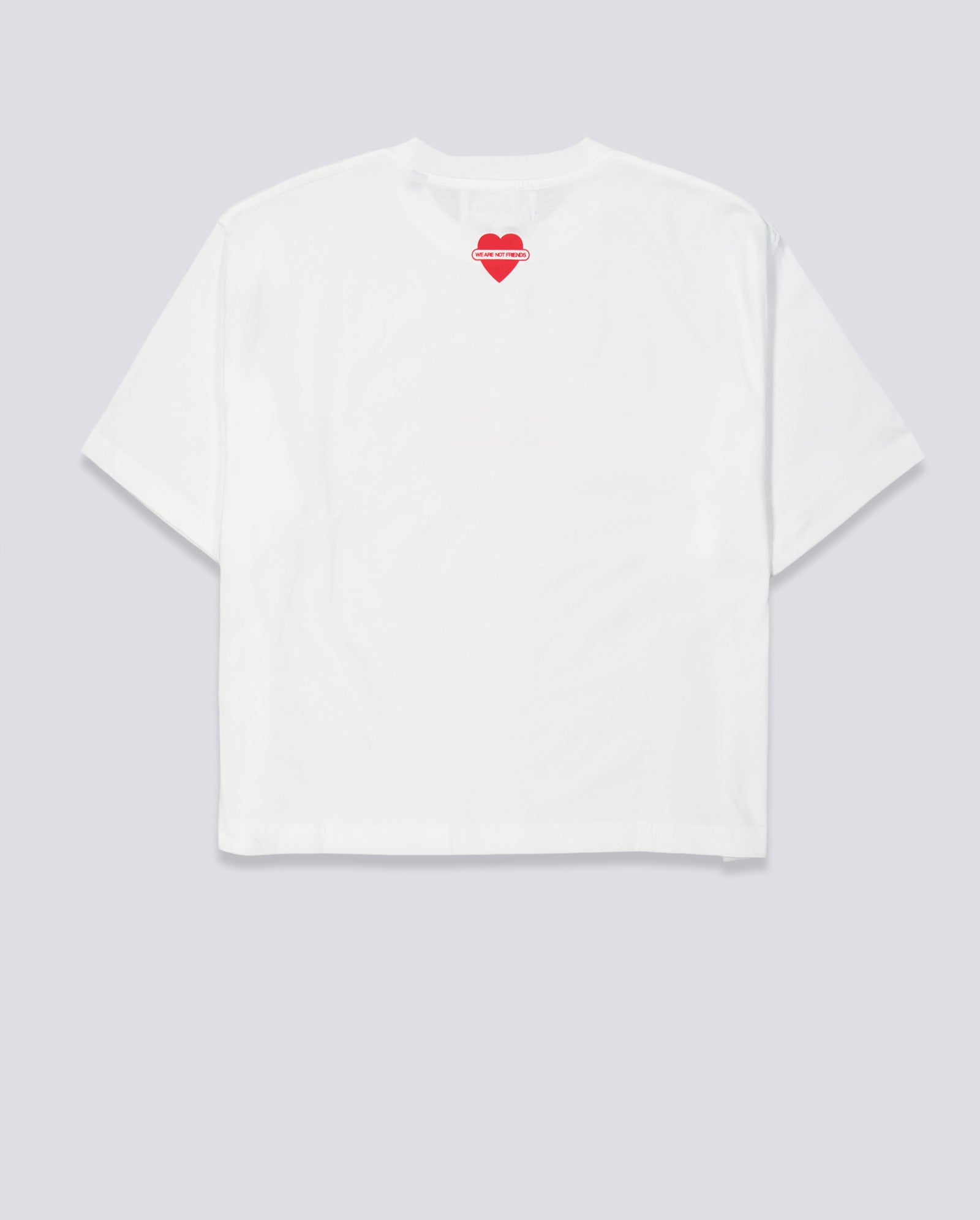 Camiseta We Are Not Friends Swan Hombre WANFSS26-21