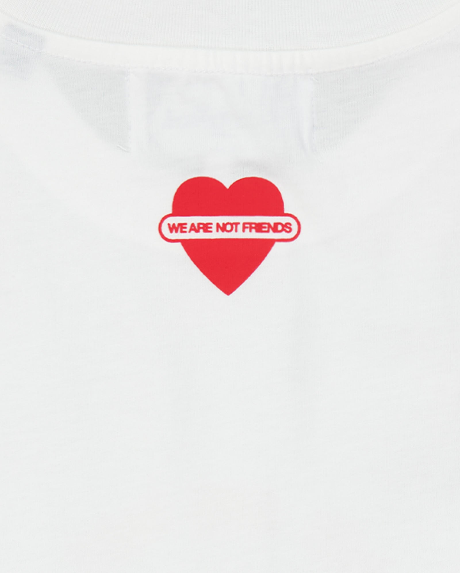Camiseta We Are Not Friends Swan Hombre WANFSS26-21