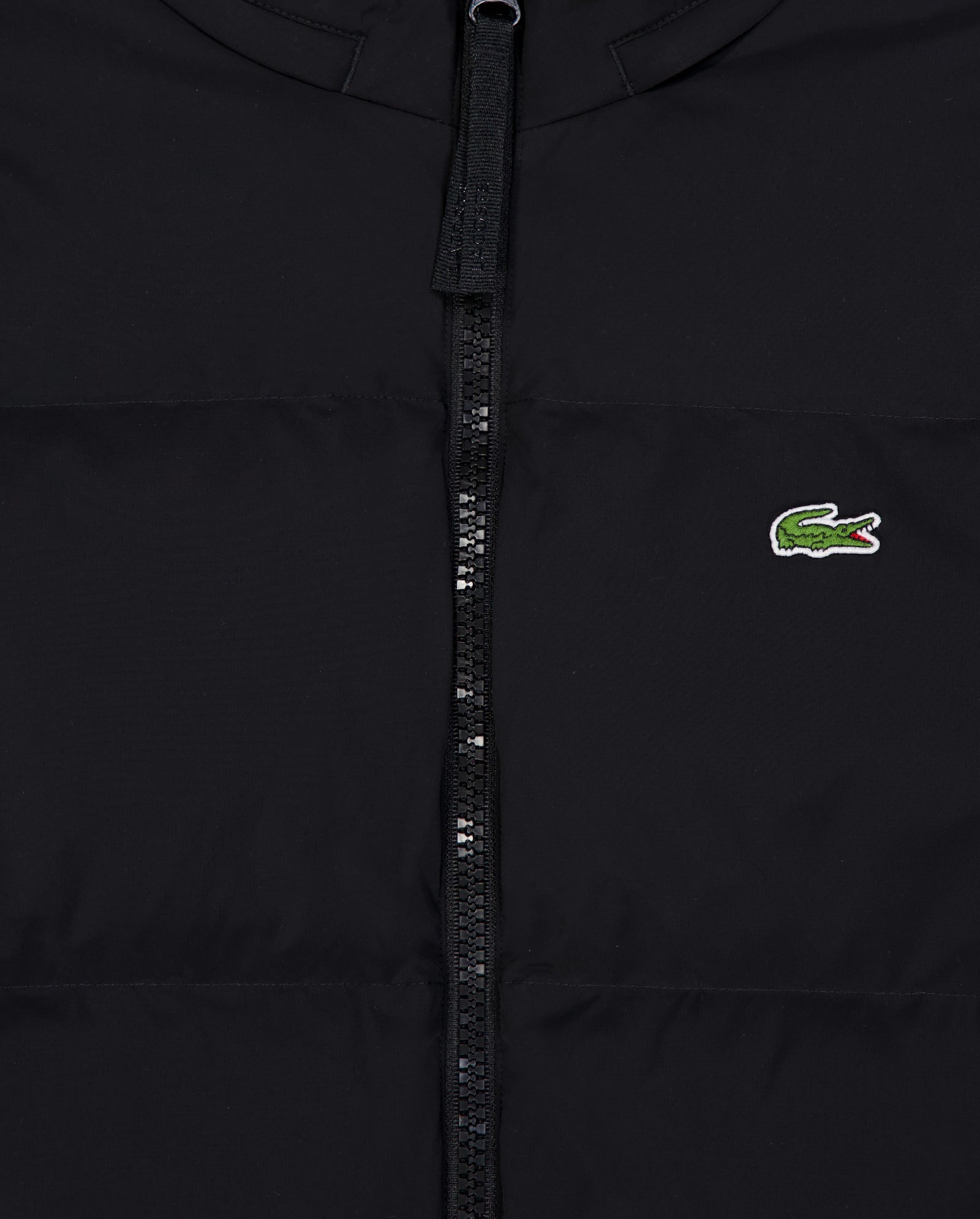 Chaqueta De Plumas Lacoste Blouson Negro Hombre BH5154-00