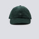 Gorra Carhartt WIP Harlem Verde Unisex