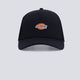 Gorra Dickies Hanston Trucker Negro Unisex