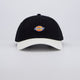 Gorra Dickies Hardwick 2 Tone Negro Unisex