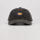Gorra Dickies Hardwick Duck Canvas Negro Unisex