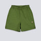 Pantalón Corto Dickies Pelican Rapids Verde Hombre
