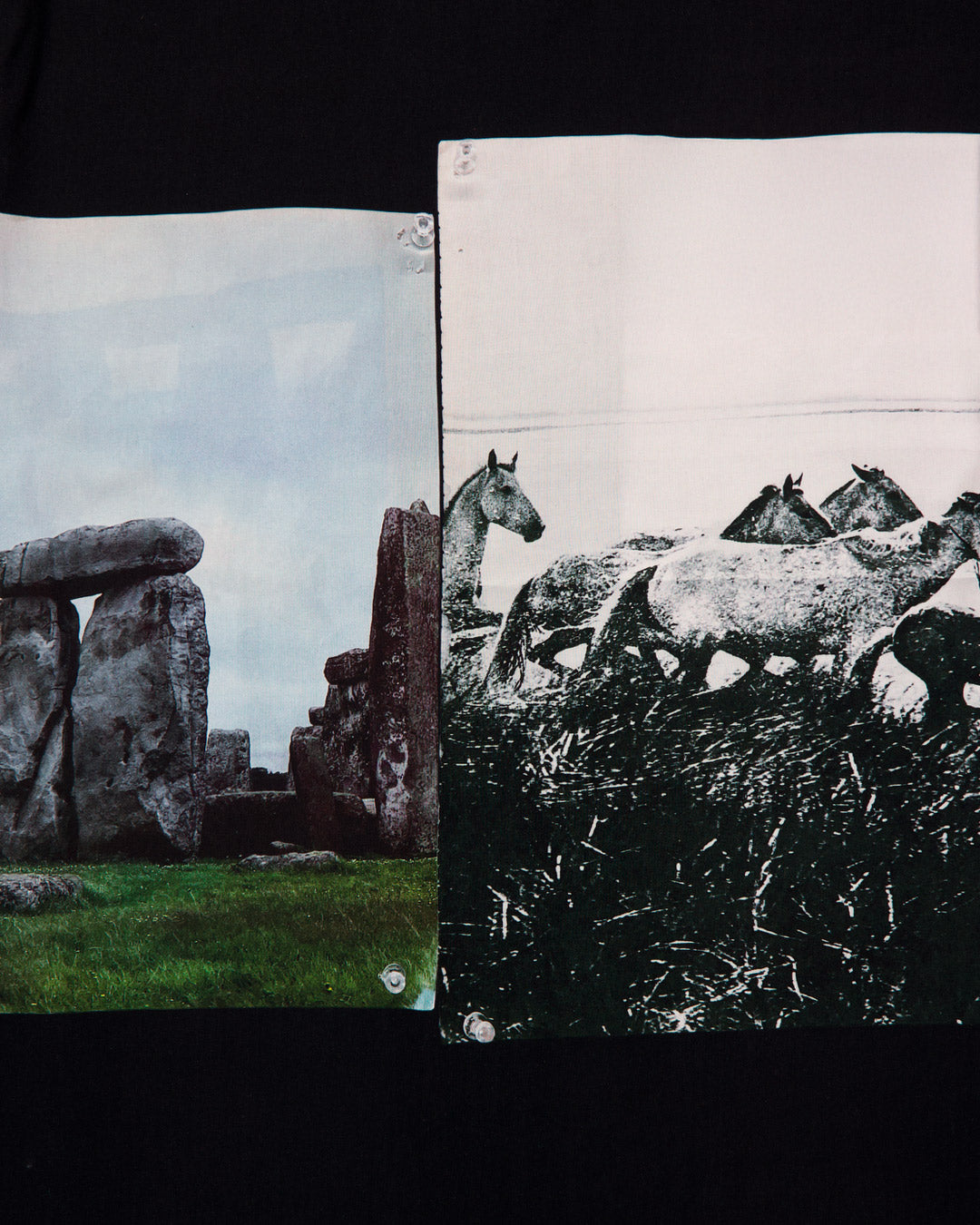 STONE HORSE BUTTON DOWN 03-2 Unisex