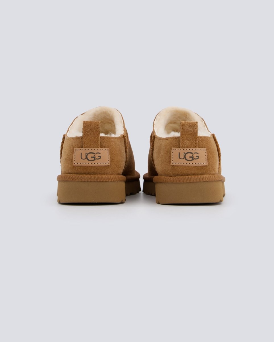 Ugg W Classic Micro Marrón Mujer 1173891 botas